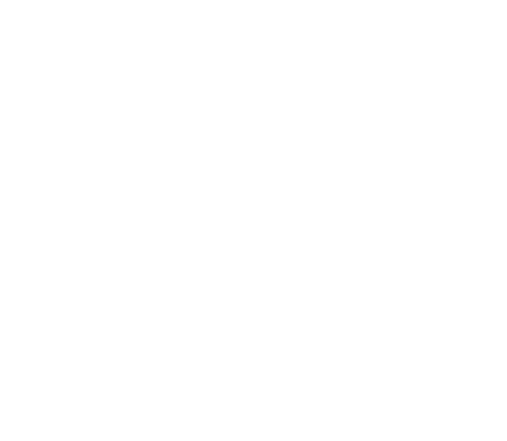 A.Steinigk Logo